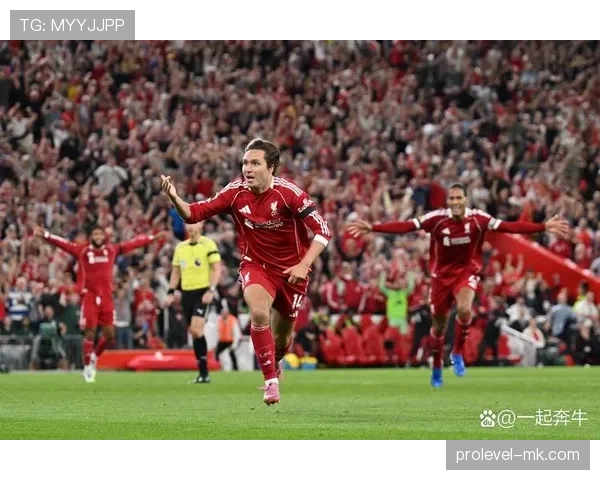 伯恩利夏窗再添新援，球队实力稳步增强