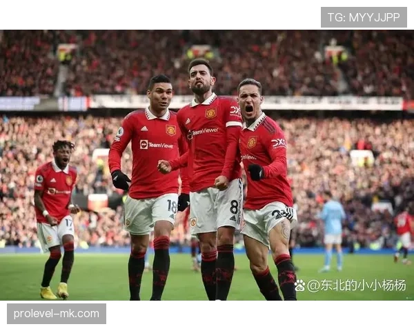 乔尔·沃德赛季表现抢眼，助球队冲击英超更高排名