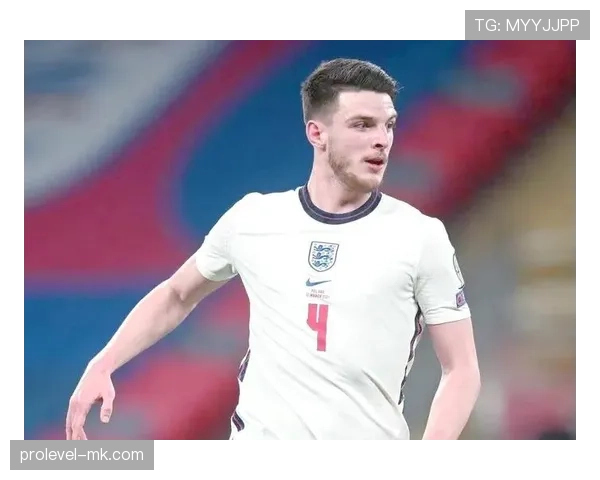 赖斯与菲利普斯后腰搭档的共存性与战术适配性差距在哪